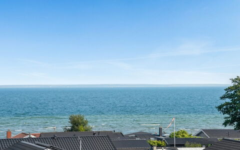Ebbeline - 150M from the Sea: Plant Community, Sunlight, Herbaceous Plant, Garden, Plantation, Agriculture, Farm