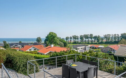 Ebbeline - 150M from the Sea: Plant Community, Sunlight, Herbaceous Plant, Garden, Plantation, Agriculture, Farm