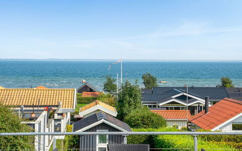 Ebbeline - 150M from the Sea: Plant Community, Sunlight, Herbaceous Plant, Garden, Plantation, Agriculture, Farm