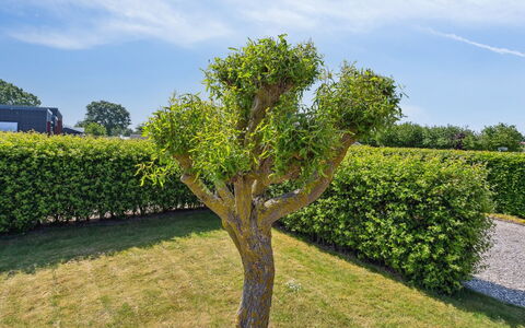 Inge - 300M from the Sea: Blue, Shrub, Cottage, Groundcover, Garden, Estate, Shade, Landscaping, Farmhouse, Eco Hotel