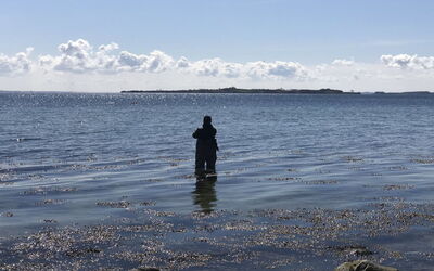 Lander - 20M from the Sea