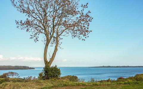 Boris - 500M from the Sea: Residential Area, Roof, Suburb, Driveway, Estate, Chimney