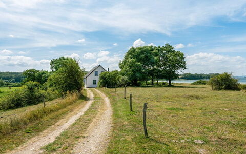 Jeppe - 50M to the Fjord: Green, Grass, Nature, Natural Landscape, Vegetation, Grassland, Landscape, Rural Area, Land Lot