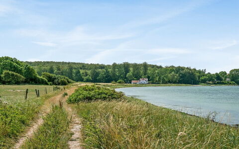 Jeppe - 50M to the Fjord: Water, Water Resources, Green, Body Of Water, Natural Environment, Natural Landscape, Vegetation, Watercourse, Waterway