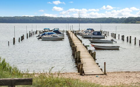 Star - 100M from the Sea: Estate, Farm