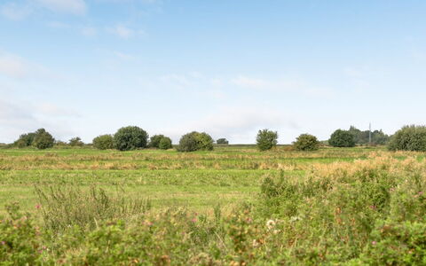 Ewelina - 15Km from the Sea: Sky, Green, Natural Environment, Grassland, Vegetation, Natural Landscape, Cloud, Ecoregion, Plain, Summer