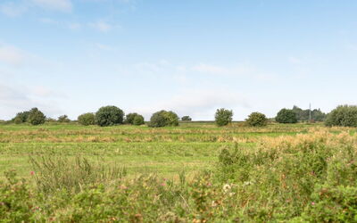 Ewelina - 15Km from the Sea