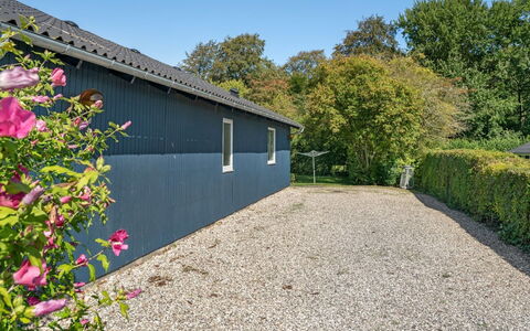 Farnke - 600M from the Sea: Plant Community, Sunlight, Herbaceous Plant, Garden, Plantation, Agriculture, Farm