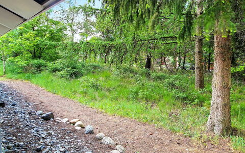 Frederikke - 28Km from the Sea: Green, Shrub, Plant Community, Groundcover, Trail, Soil, Garden, Woodland, Jungle, Evergreen
