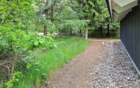 Frederikke - 28Km from the Sea: Leaf, Vegetation, Shrub, Groundcover, Shade, Spring, Garden, Woody Plant, Sunlight, Landscaping