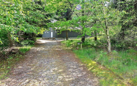 Frederikke - 28Km from the Sea: Leaf, Green, Grass, Branch, Tree, Natural Environment, Nature, Vegetation, Shrub