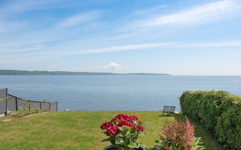 Herewardus - 10M to the Fjord: Plant Community, Sunlight, Herbaceous Plant, Garden, Plantation, Agriculture, Farm