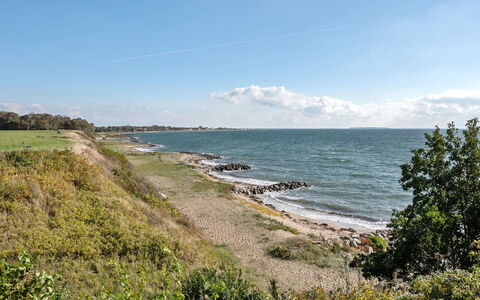 Orsa - 80M from the Sea: Plant Community, Sunlight, Herbaceous Plant, Garden, Plantation, Agriculture, Farm