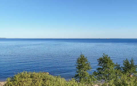 Orsa - 80M from the Sea: Plant Community, Sunlight, Herbaceous Plant, Garden, Plantation, Agriculture, Farm