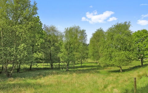 Terese - 45Km from the Sea: Plant Community, Sunlight, Herbaceous Plant, Garden, Plantation, Agriculture, Farm