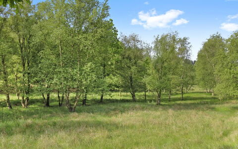Terese - 45Km from the Sea: Plant Community, Sunlight, Herbaceous Plant, Garden, Plantation, Agriculture, Farm