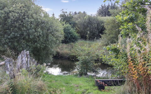 Terese - 45Km from the Sea: Plant Community, Sunlight, Herbaceous Plant, Garden, Plantation, Agriculture, Farm