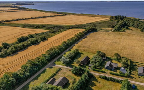 Engeline - 300M to the Fjord: Green, Natural Landscape, Landscape, Bird'S-Eye View, Plain, Aerial Photography, Ecoregion, Field, Land Lot, Plantation