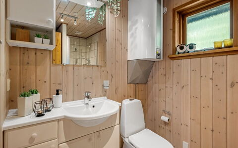 Engeline - 300M to the Fjord: Bathroom Sink, Plumbing Fixture, Wood, Sink, Interior Design, Flooring, Floor, Bathroom Cabinet, Bathroom, Tap