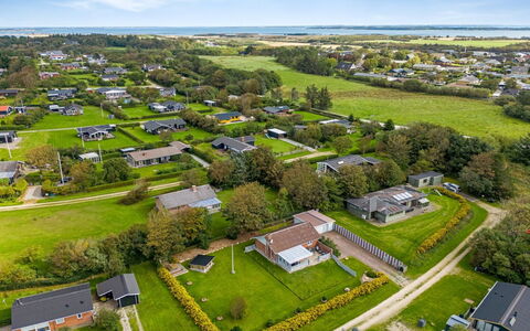 Tuki - 700M to the Fjord: Plant Community, Sunlight, Herbaceous Plant, Garden, Plantation, Agriculture, Farm