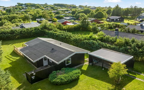Matilde - 400M to the Fjord: Plant Community, Sunlight, Herbaceous Plant, Garden, Plantation, Agriculture, Farm