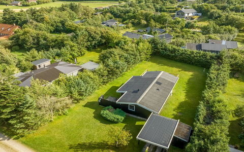 Matilde - 400M to the Fjord: Plant Community, Sunlight, Herbaceous Plant, Garden, Plantation, Agriculture, Farm