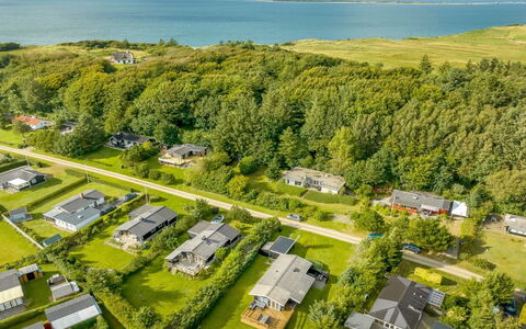 Matilde - 400M to the Fjord: Plant Community, Sunlight, Herbaceous Plant, Garden, Plantation, Agriculture, Farm