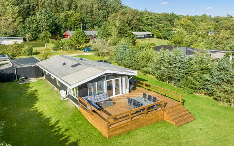 Matilde - 400M to the Fjord: Plant Community, Sunlight, Herbaceous Plant, Garden, Plantation, Agriculture, Farm