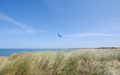 Siri - 400M from the Sea: House, Home, Roof, Cottage, Land Lot, Estate, Farmhouse, Village, Farm
