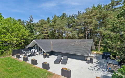 Hjalmara - 900M from the Sea: Plant Community, Sunlight, Herbaceous Plant, Garden, Plantation, Agriculture, Farm