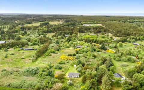 Aameek - 3Km from the Sea: Plant Community, Sunlight, Herbaceous Plant, Garden, Plantation, Agriculture, Farm