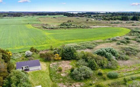 Aameek - 3Km from the Sea: Plant Community, Sunlight, Herbaceous Plant, Garden, Plantation, Agriculture, Farm