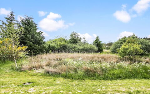 Aameek - 3Km from the Sea: Plant Community, Sunlight, Herbaceous Plant, Garden, Plantation, Agriculture, Farm