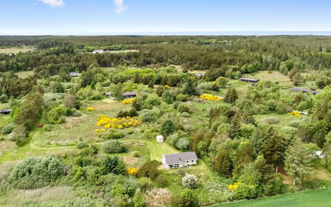 Aameek - 3Km from the Sea: Plant Community, Sunlight, Herbaceous Plant, Garden, Plantation, Agriculture, Farm