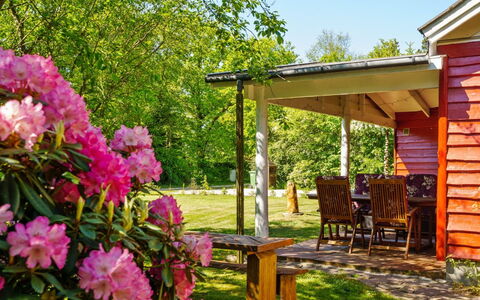 Flugha - 500M to the Fjord: Tree, Leaf, Garden, Shrub, Cottage, Spring, Lawn, Groundcover, Shade