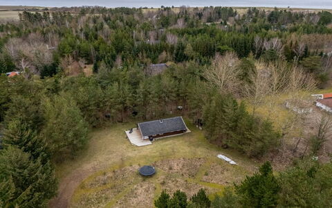 Aman - 700M to the Fjord: Tree, Natural Environment, Landscape, Land Lot, Plain, Rural Area, Landscaping, Park, Larch