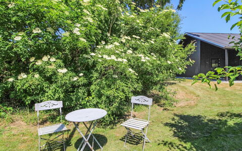 Rufina - 850M from the Sea: Shrub, Spring, Garden, Shade, Backyard, Hydrangea, Rose Family, Plantation