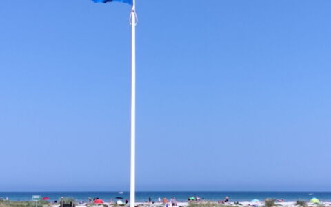 Line - 10M from the Sea: House, Roof, Home, Cottage, Shed, Garden Buildings, Siding, Yard, Log Cabin, Hut