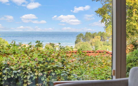 Ludewiga - 350M from the Sea: Plant Community, Sunlight, Herbaceous Plant, Garden, Plantation, Agriculture, Farm