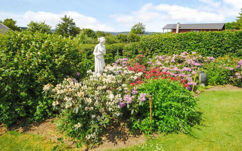 Annabeth - 300M to the Fjord: Flower, Garden, Shrub, Pink, Plant Community, Groundcover, Spring, Flowering Plant, Purple