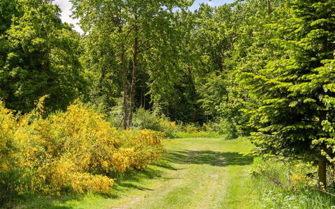 Gunward - 1.5Km from the Sea: Residential Area, Roof, Suburb, Driveway, Estate, Chimney