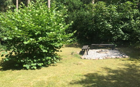 Ruka - 350M from the Sea: Shrub, Garden, Evergreen, Riparian Zone, Backyard, Outdoor Furniture