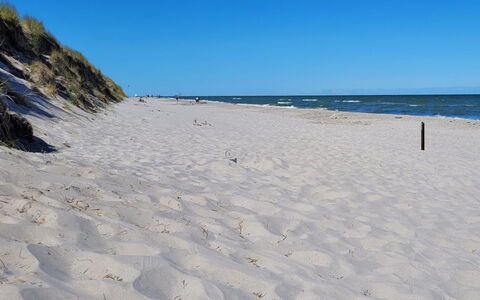 Skaghe - 200M from the Sea: Blue, Beach, Body Of Water, Natural Environment, Coast, Sand, Sea, Coastal And Oceanic Landforms, Shore