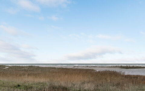 Timmi - 100M from the Sea: Thatching, Cottage, House, Roof, Home, Farmhouse, Hut, Estate, Village