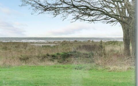 Timmi - 100M from the Sea: Thatching, Cottage, House, Roof, Home, Farmhouse, Hut, Estate, Village