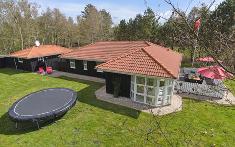 Alla - 500M from the Sea: Plant Community, Sunlight, Herbaceous Plant, Garden, Plantation, Agriculture, Farm