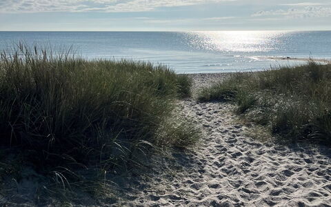 Veiko - 1.2Km from the Sea: Wood, Home, Porch, Deck, Hardwood, Roof, Wood Stain, Wood Flooring, Eco Hotel