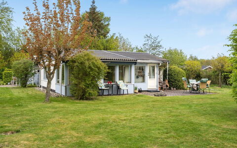 Lenard - 400M from the Sea: Residential Area, Shrub, House, Home, Garden, Estate, Shade, Landscaping, Lawn