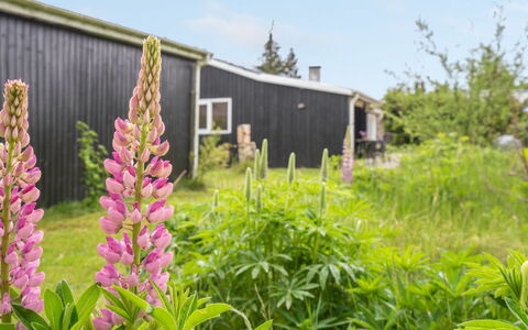 Landolf - 250M from the Sea: Roof, House, Home, Cottage, Siding, Estate, Driveway, Garden Buildings, Yard, Shed