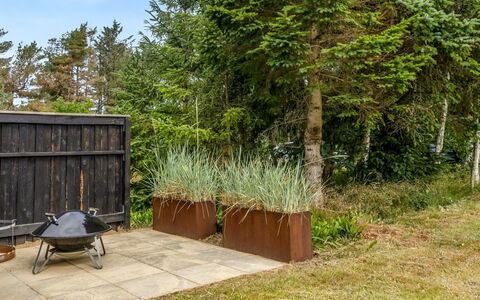Mea - from the Sea: Wood, Shrub, Plant Community, Garden, Backyard, Hardwood, Landscaping, Plank, Evergreen